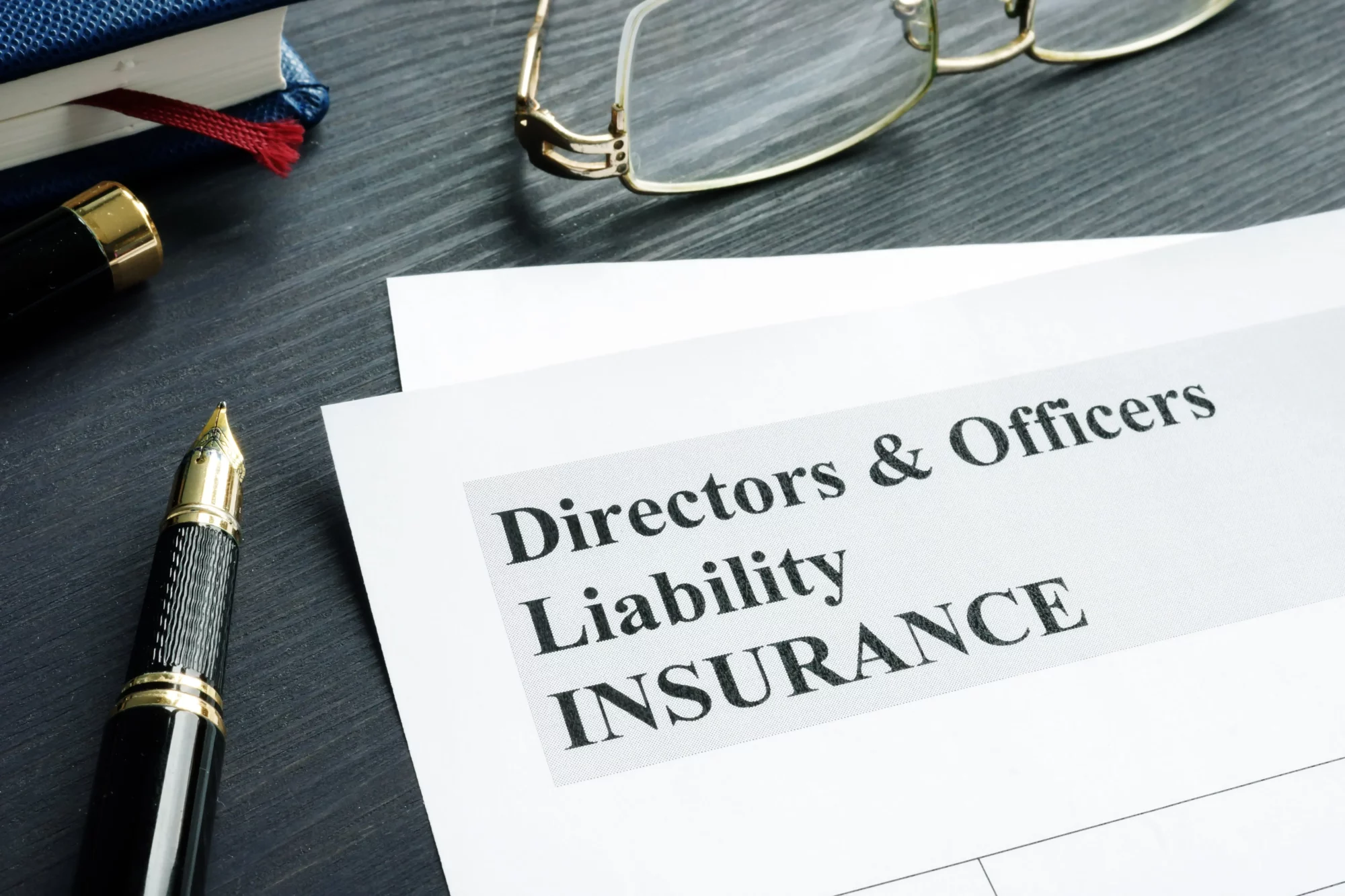d and o insurance