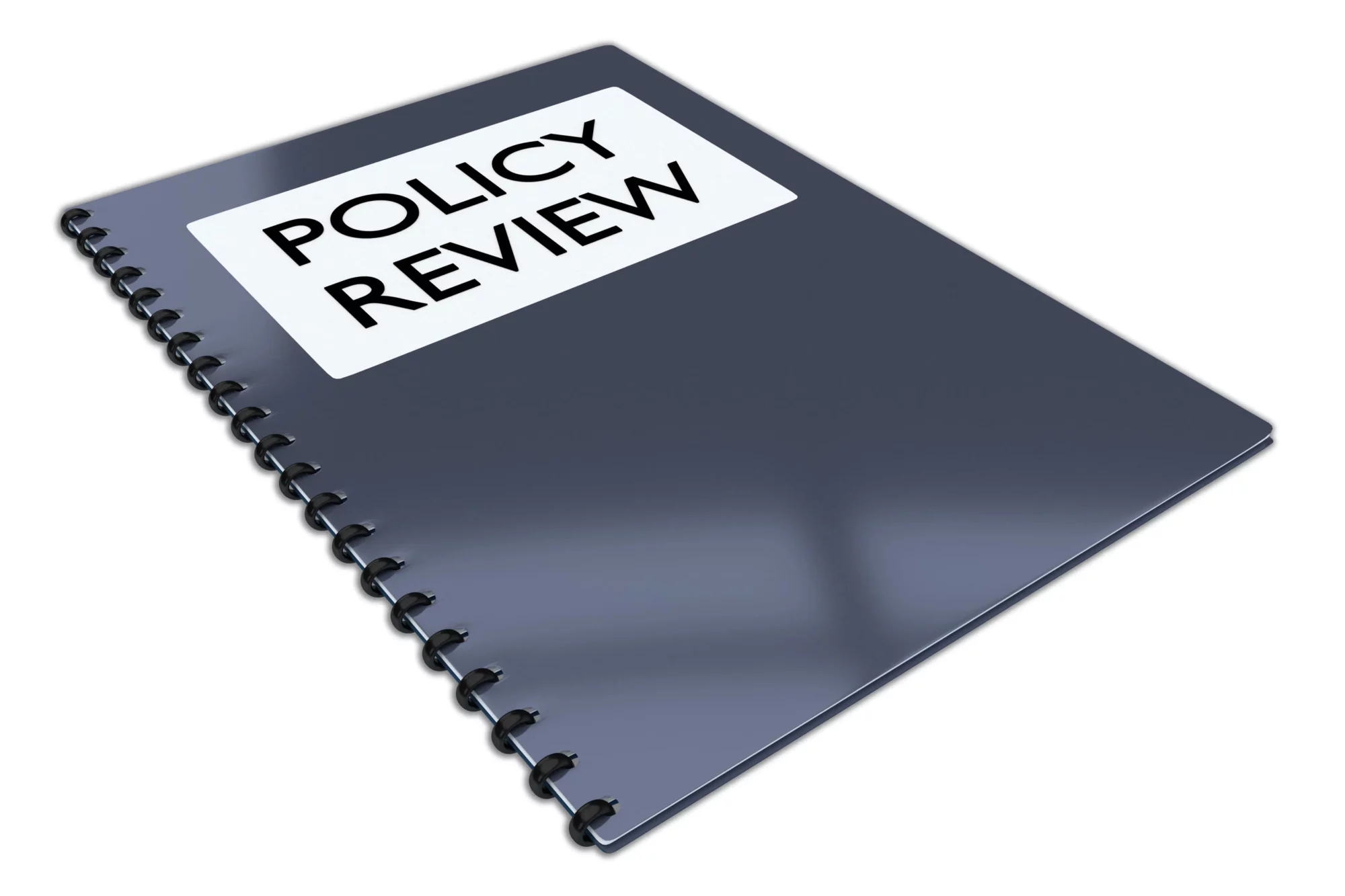 policy review
